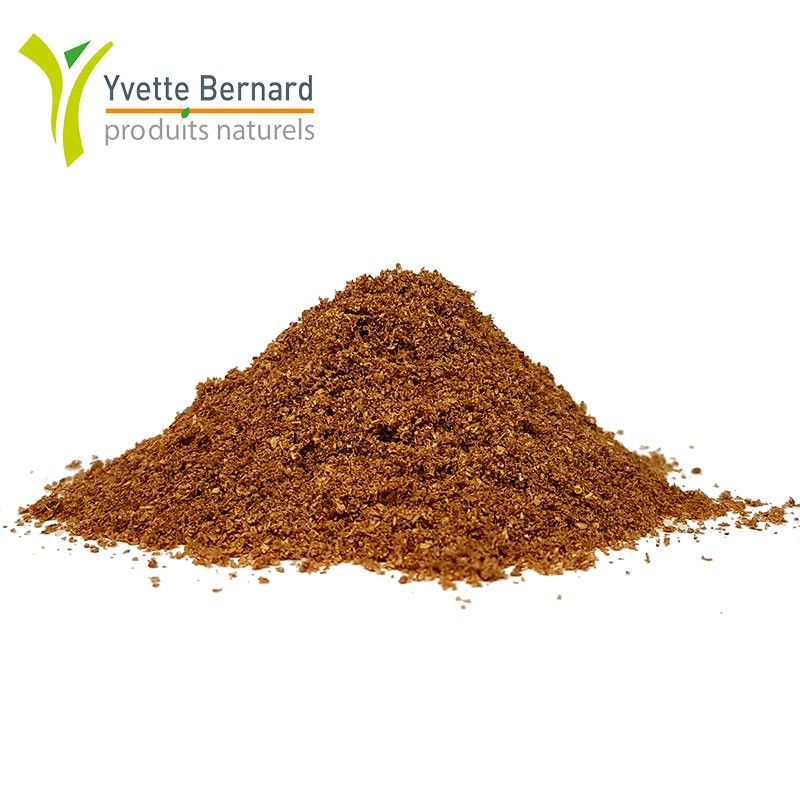 CORIANDRE moulu 50G
