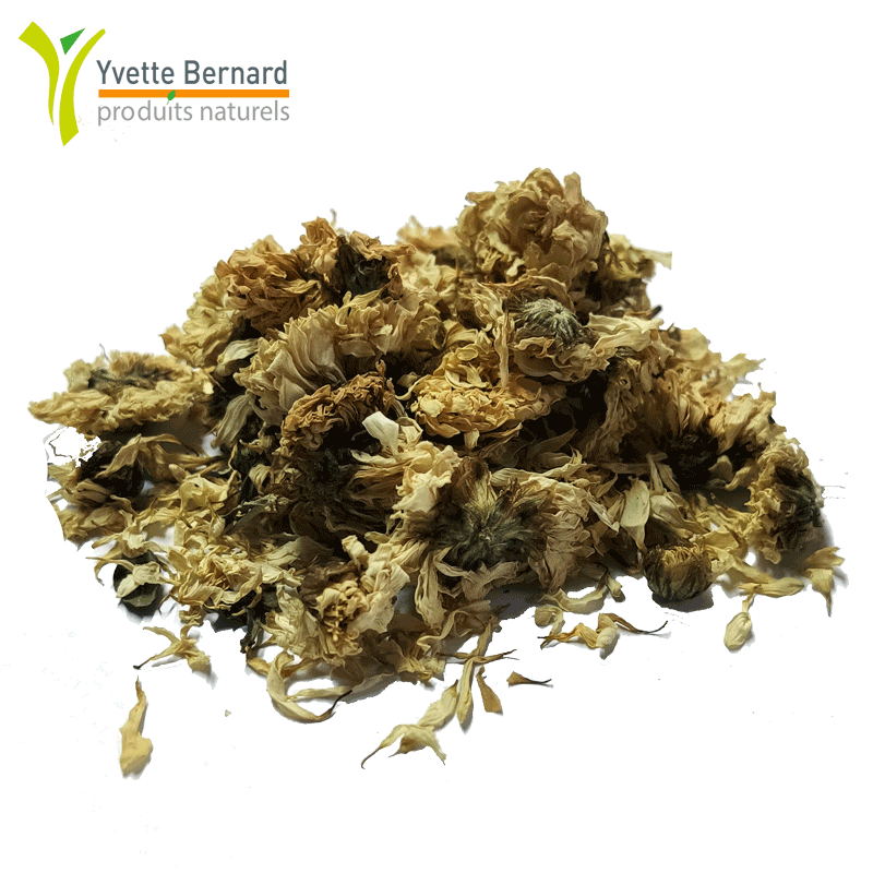 CHRYSANTHEME BLANCHE* 30g  -*Issu de l'agriculture biologique