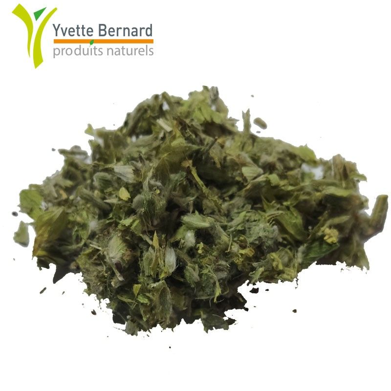 THE GREC des Montagnes | Bienfaits et utilisation| Au meilleur prix