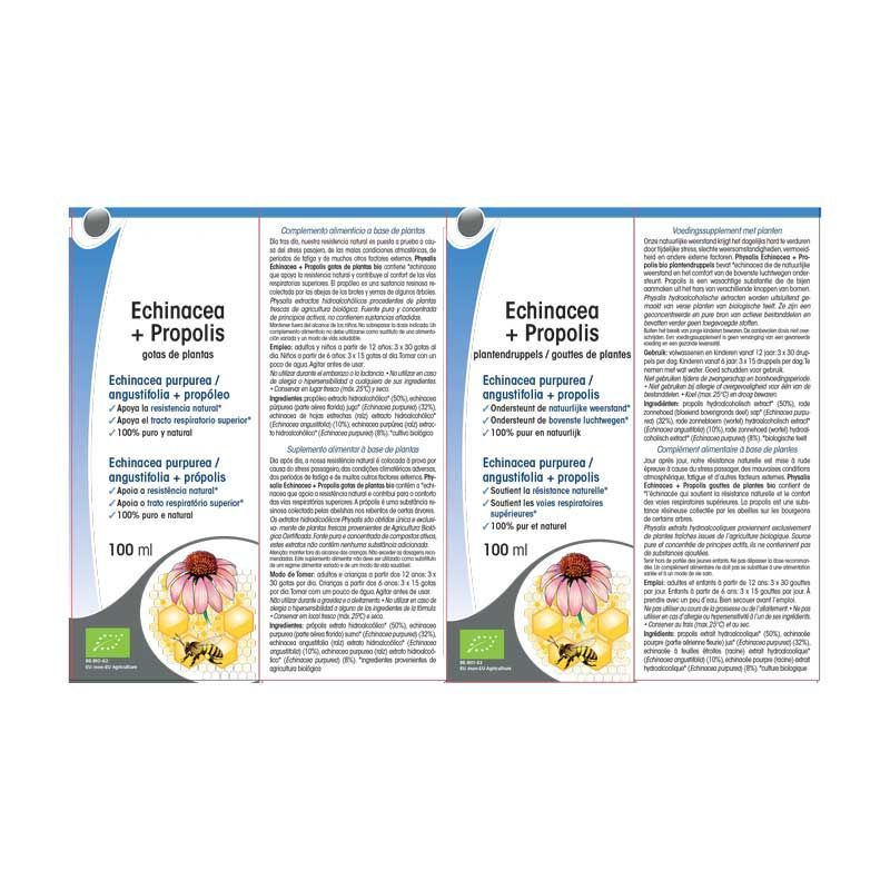 ECHINACEA; un allié pour l'hiver| Description et bienfaits| Yvette Bernard
