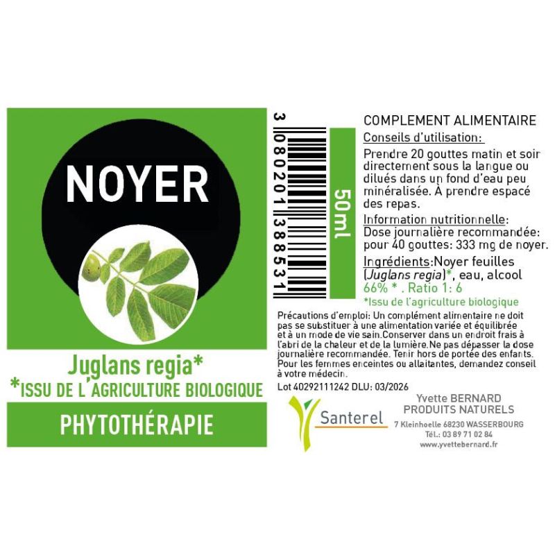 NOYER Feuilles * 50ml - Juglans regia - * Issu de l'agriculture biologique