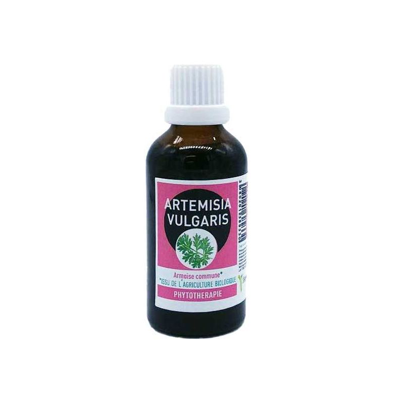 ARTEMISIA VULGARIS - 50ML - EXTRAIT DE PLANTE - SANTEREL