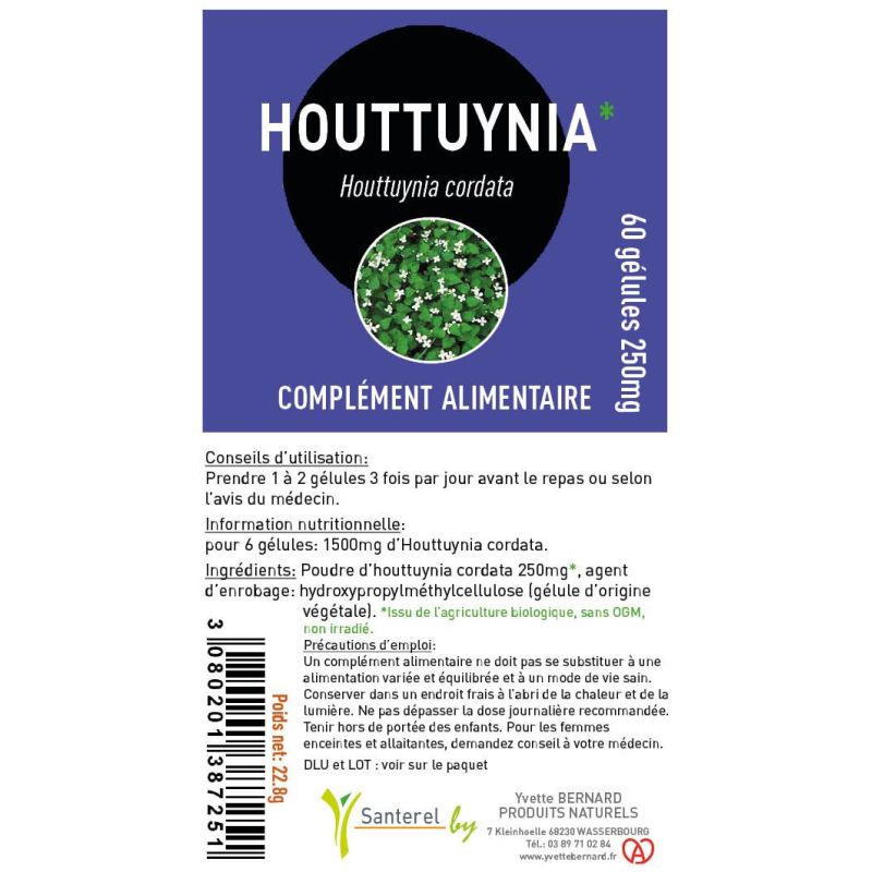 HOUTTUYNIA cordata|Bienfaits et posologie | Au meilleur prix