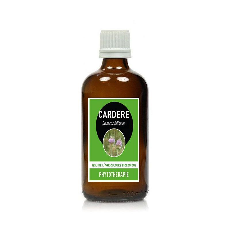 CARDERE RACINE * 100ml  - Dipsacus fullonum - *issu de l'agriculture biologique - Santerel