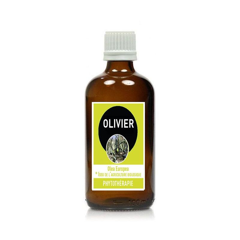 OLIVIER * Extrait 100ML - OLEA EUROPEA - * Issu de l'agriculture biologique - Santerel