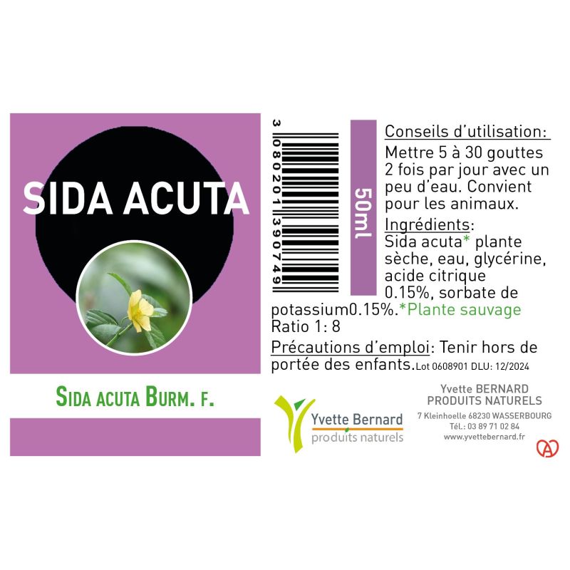 SIDA ACUTA Extrait | Bienfaits et utilisation | Au meilleur prix