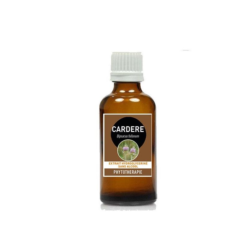 CARDERE teinture mère sans alcool 100ml  - Dipsacus fullonum - Santerel