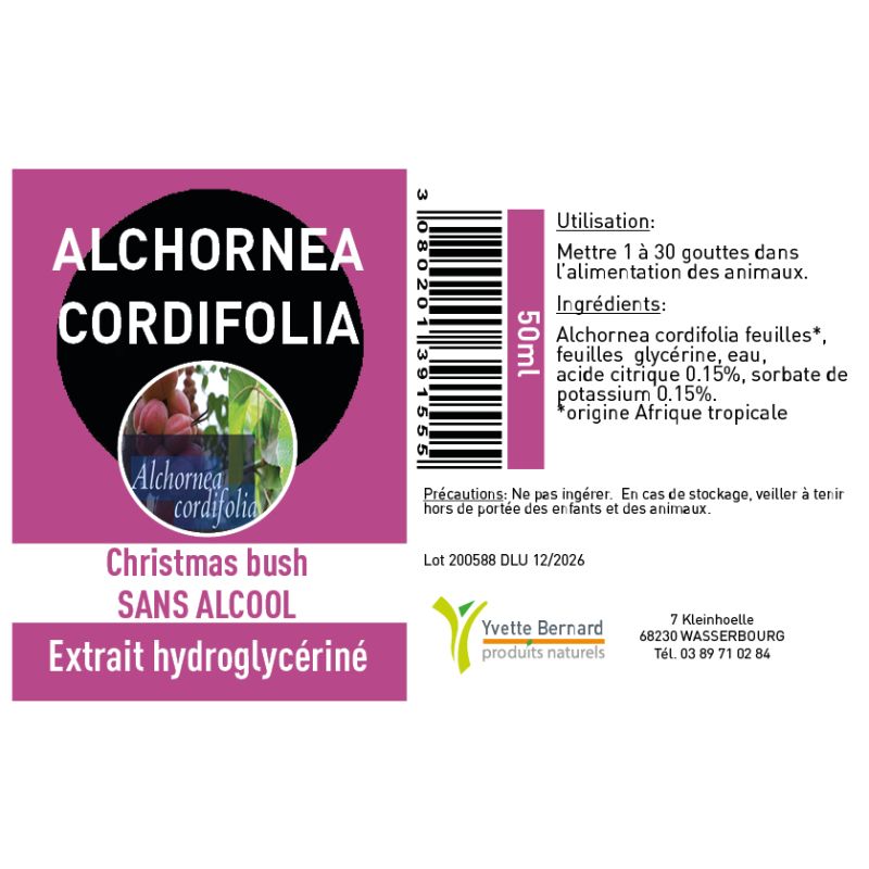 Alchornea cordifolia | Bienfaits et utilisation | Au meilleur prix