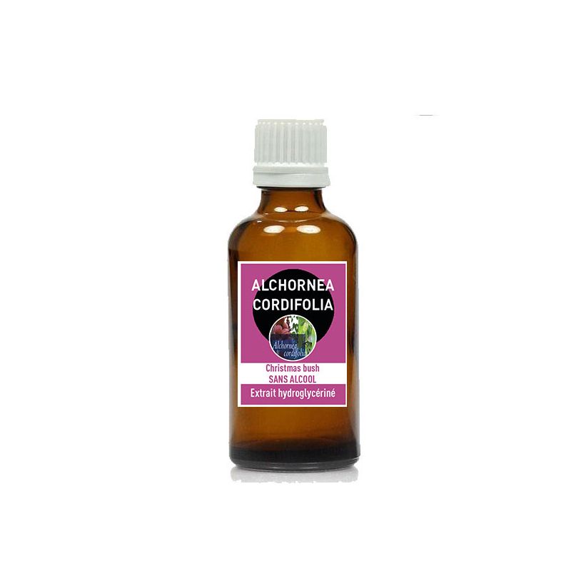 Alchornea cordifolia 50ml teinture mere sans alcool