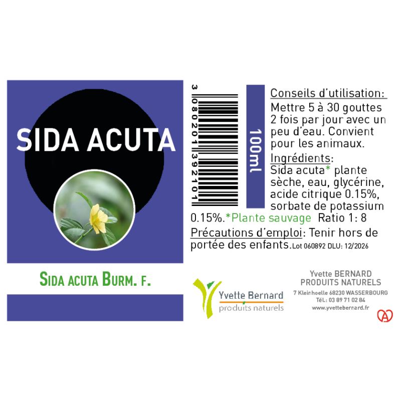 SIDA ACUTA Extrait | Bienfaits et utilisation | Au meilleur prix