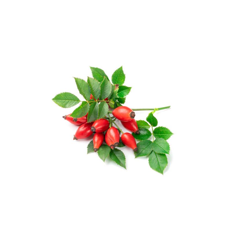 Infusion EGLANTINE 100g