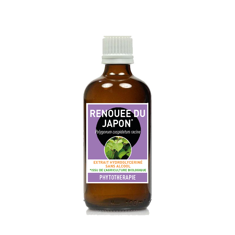 RENOUEE DU JAPON* Extrait de plante sans alcool - 100ml - * issu de l'agriculture biologique
