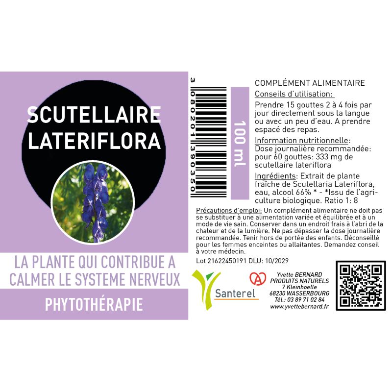 SCUTELLAIRE lateriflora Extrait| Bienfaits et utilisation | Au meilleur prix