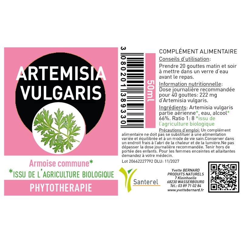 ARTEMISIA VULGARIS| Bienfaits et utilisations | Au meilleur prix