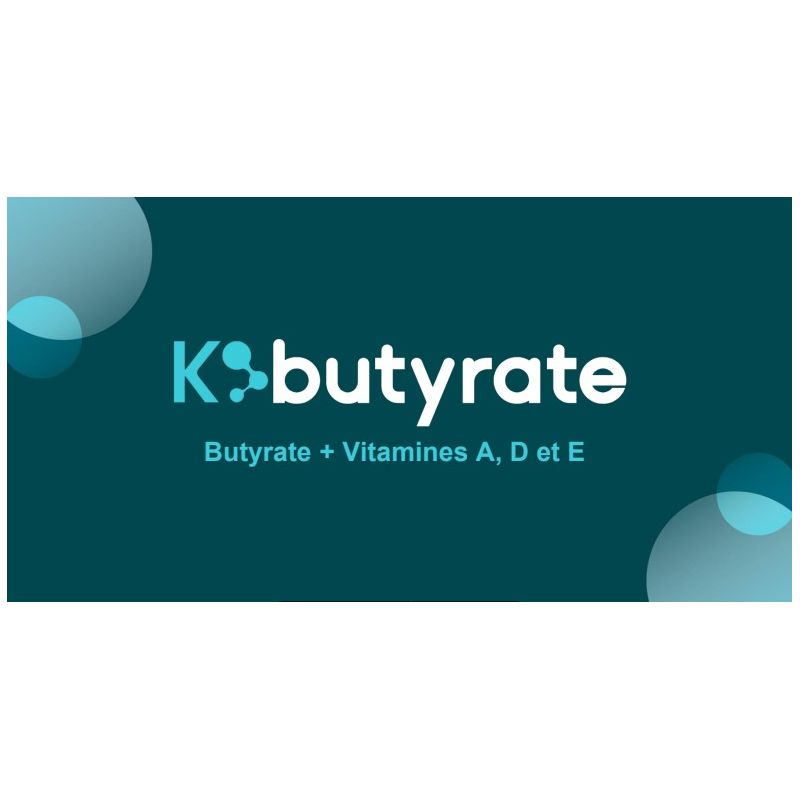 K BUTYRATE | Bienfaits et utilisation | Au meilleur prix