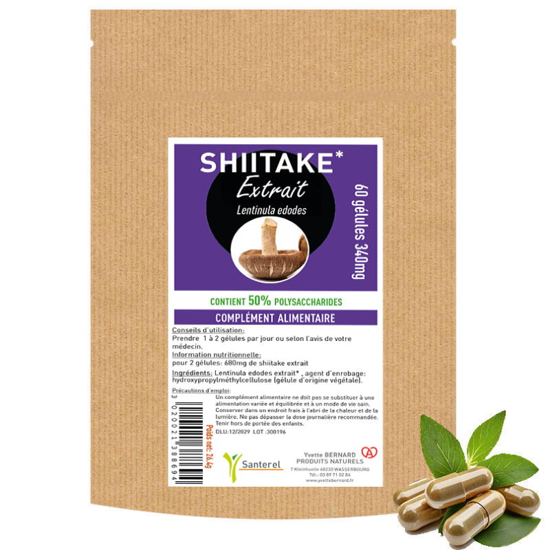 SHIITAKE un champignon extraordinaire !| Au meilleur prix
