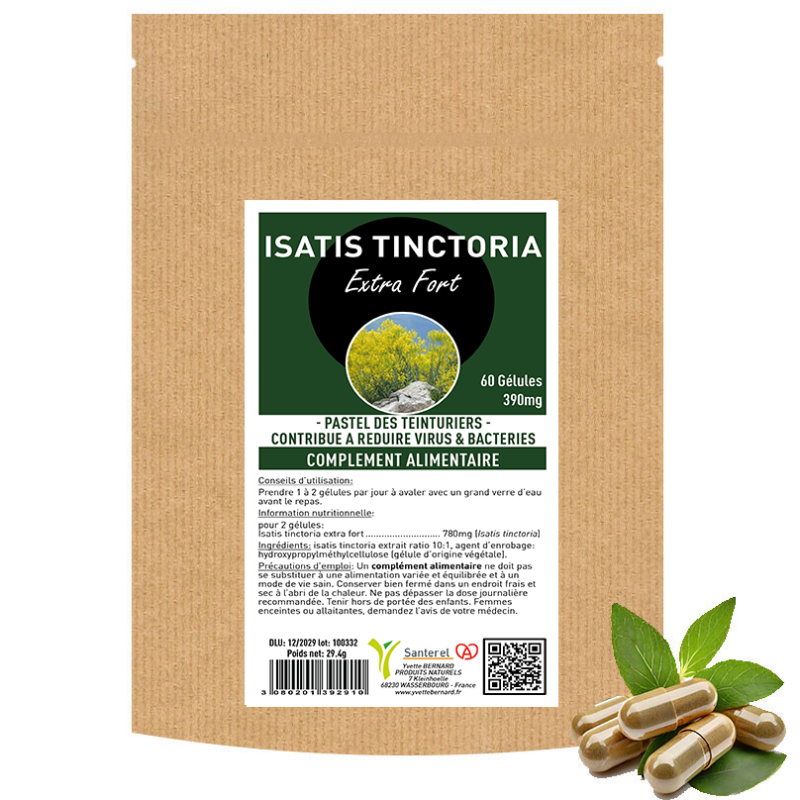 ISATIS TINCTORIA Extrait fort - 60 gélules 390mg - SANTEREL