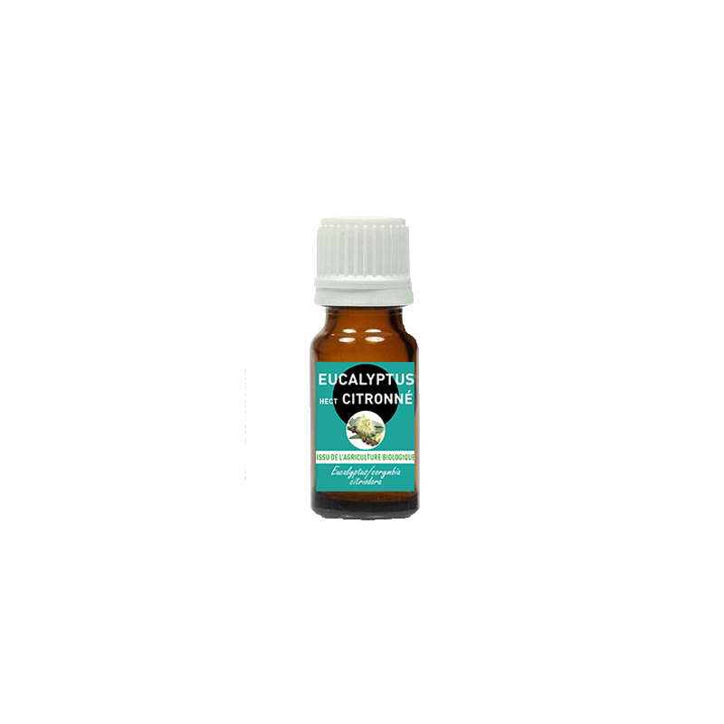 Huile essentielle Eucalyptus citriodora Bio | Bienfaits | Au meilleur prix