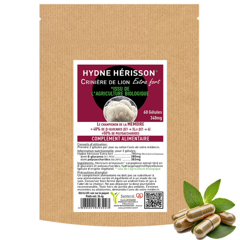 HYDNE HERISSON* CRINIERE DE LION Extra fort  60 gélules 340mg - sans pesticide -SANTEREL