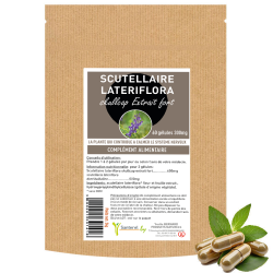 SCUTELLAIRE lateriflora | Bienfaits et utilisation | Au meilleur prix