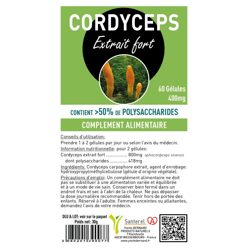 Cordyceps | Bienfaits et utilisations | Au meilleur prix