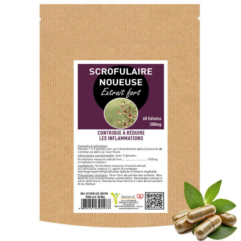 SCROFULAIRE NOUEUSE EXTRAIT 60 GELULES 380MG