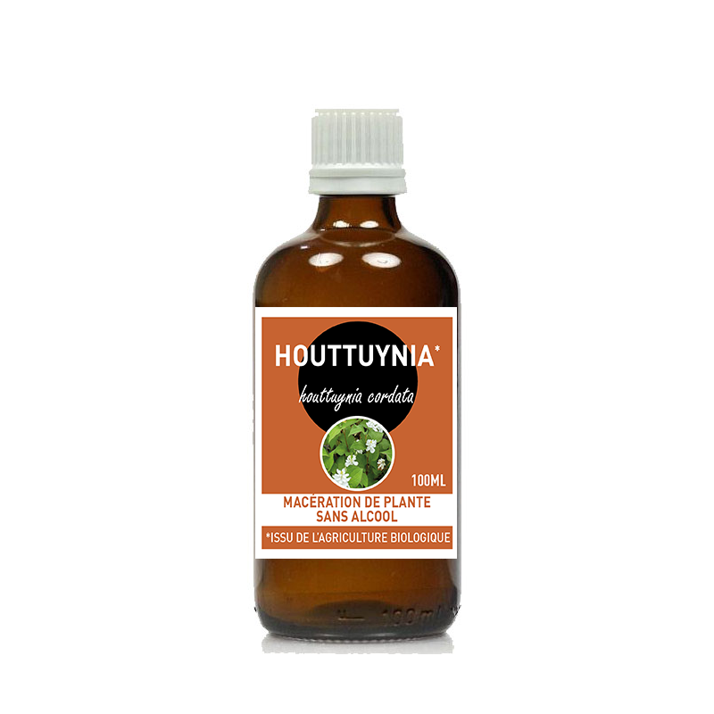 HOUTTUYNIA cordata 100ml Macération de plante SANS ALCOOL - SANTEREL