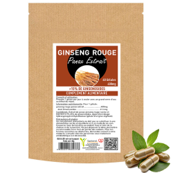 Le GINSENG ROUGE |Bienfaits, Précautions, Indications