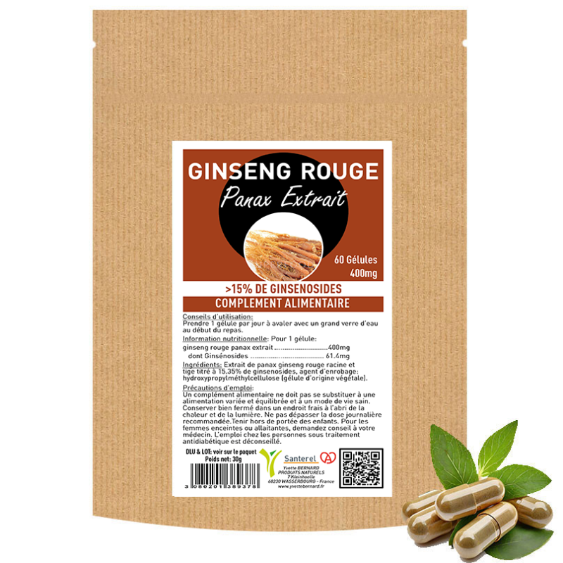 Le GINSENG ROUGE |Bienfaits, Précautions, Indications