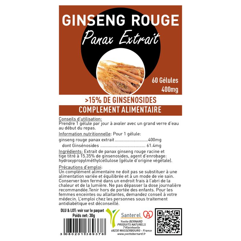 Le GINSENG ROUGE |Bienfaits, Précautions, Indications