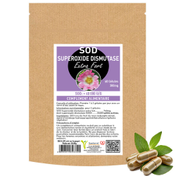 SOD SUPEROXIDE DISMUTASE EXTRA FORT 60 GELULES 380MG - SANTEREL