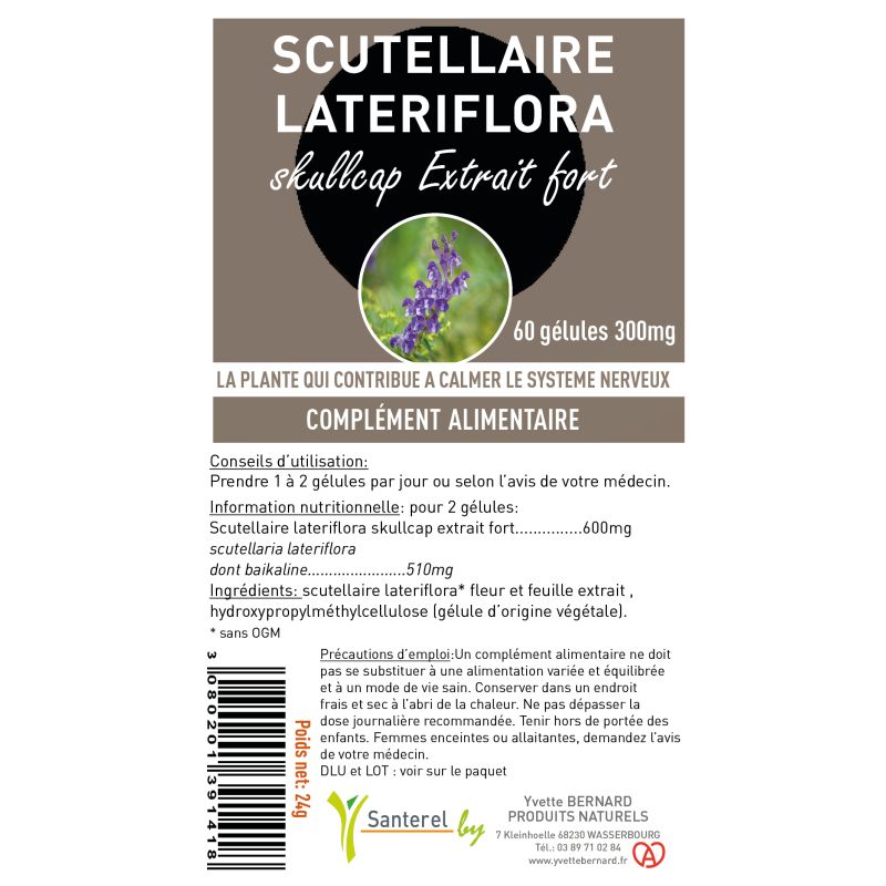 SCUTELLAIRE lateriflora | Bienfaits et utilisation | Au meilleur prix