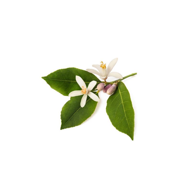 Infusion ORANGER FLEURS 40g