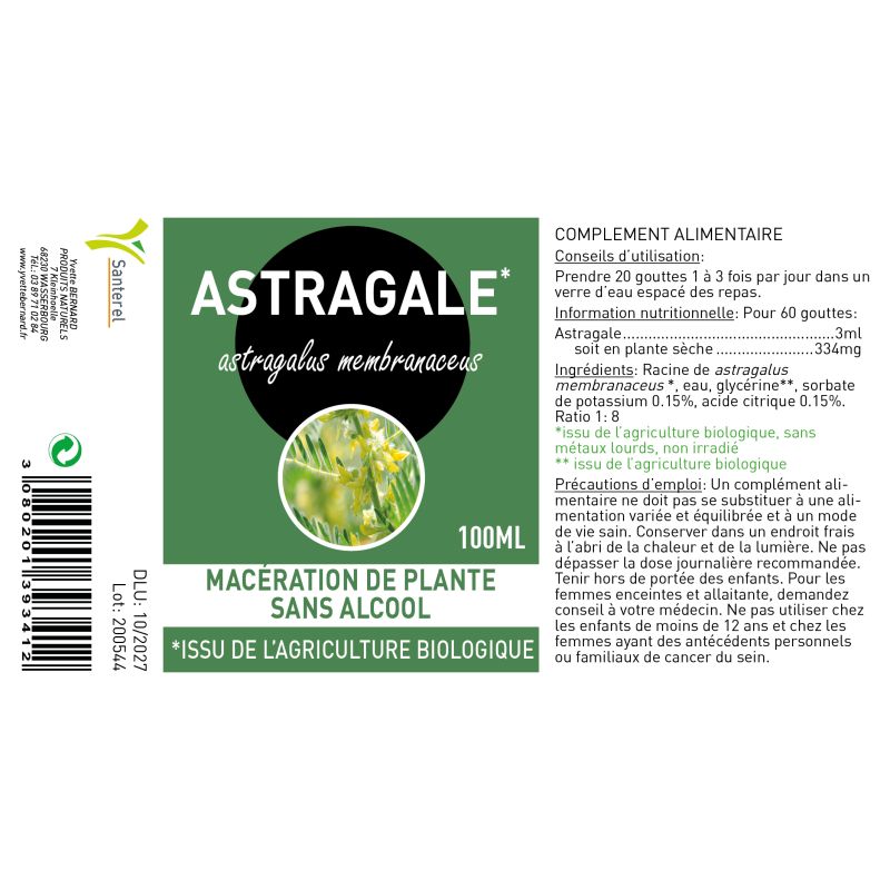 ASTRAGALE macération sans alcool | Bienfaits| Au MEILLEUR PRIX
