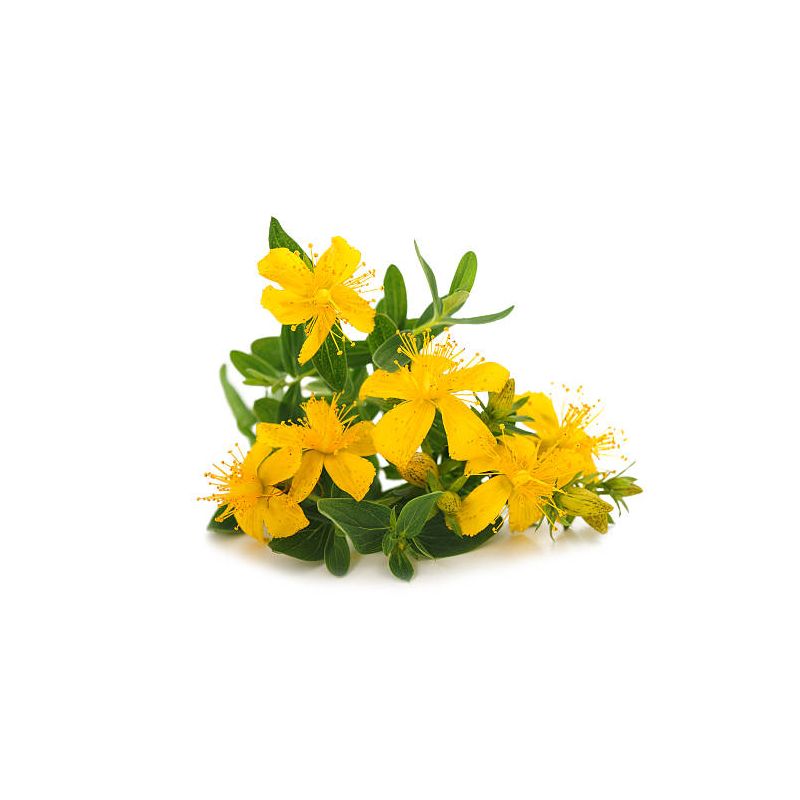Infusion MILLEPERTUIS partie aérienneavec fleurs coupées100g