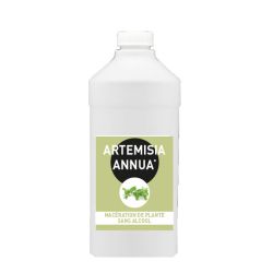 ARTEMISIA ANNUA 500ml - Macération SANS ALCOOL