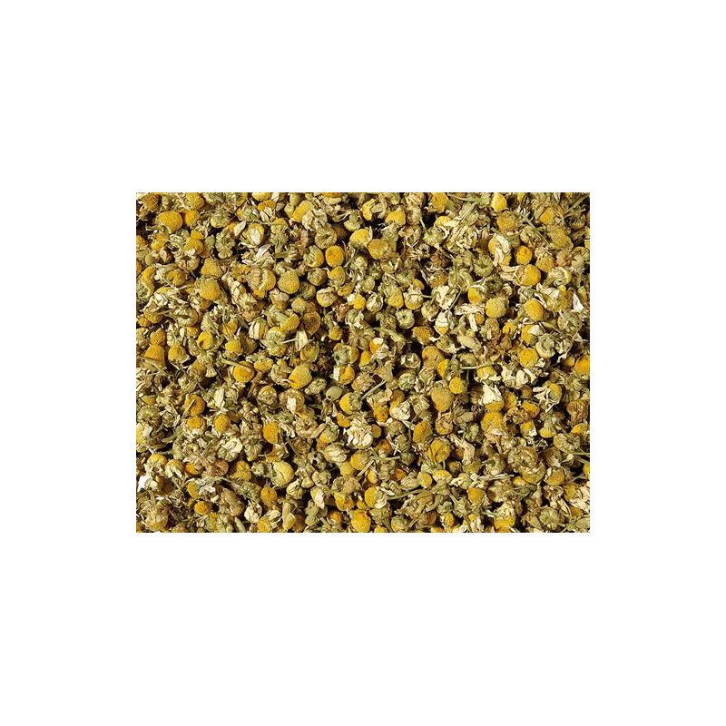 CAMOMILLE MATRICAIRE | Utilisation et Bienfaits| Au meilleur prix