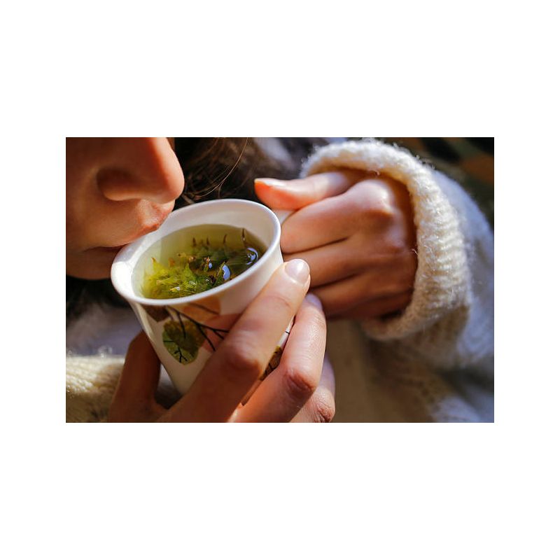Infusion PAUSE TISANE | Infusion de qualité |