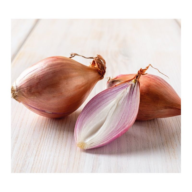 ECHALOTES SEMOULE 45G