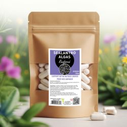 SEALANTRO ALGAS renforcé 60 gélules 310mg