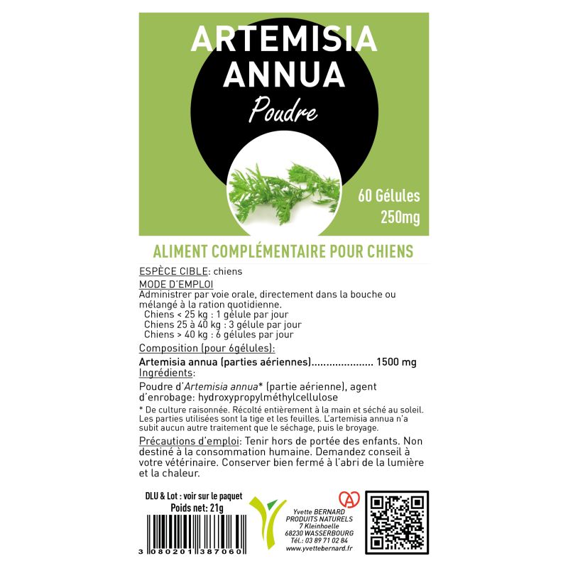 ARTEMISIA ANNUA | Sous toutes ses formes | Au meilleur prix