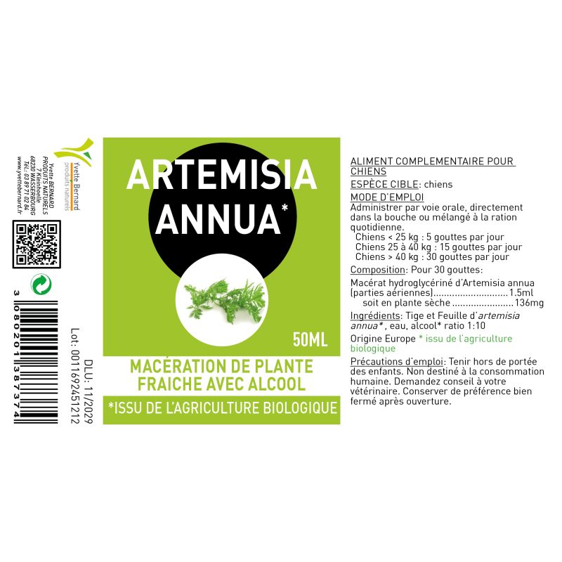 ARTEMISIA ANNUA sous toutes ses formes |  Au meilleur prix