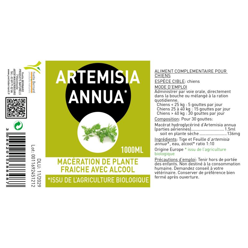 ARTEMISIA ANNUA sous toutes ses formes |  Au meilleur prix