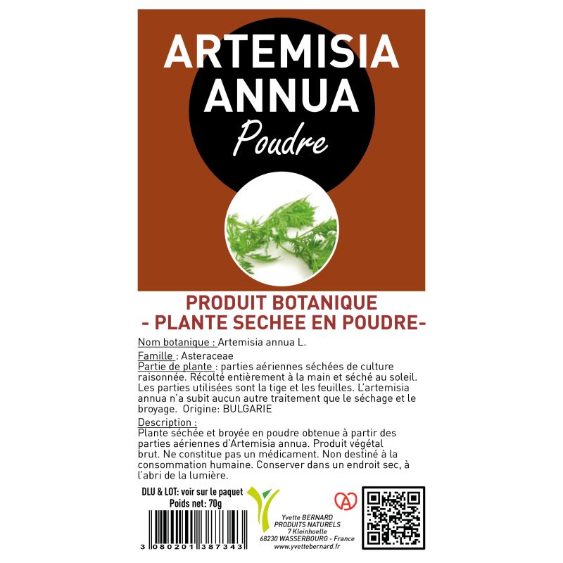 ARTEMISIA ANNUA sous toutes ses formes |  Au meilleur prix