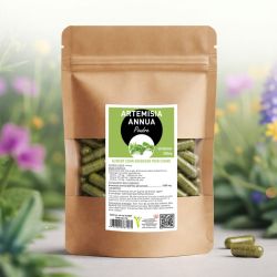 ARTEMISIA ANNUA POUDRE 60 gélules 250mg