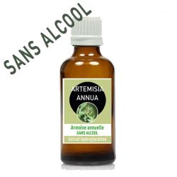 ARTEMISIA ANNUA 100ml - Macération SANS ALCOOL