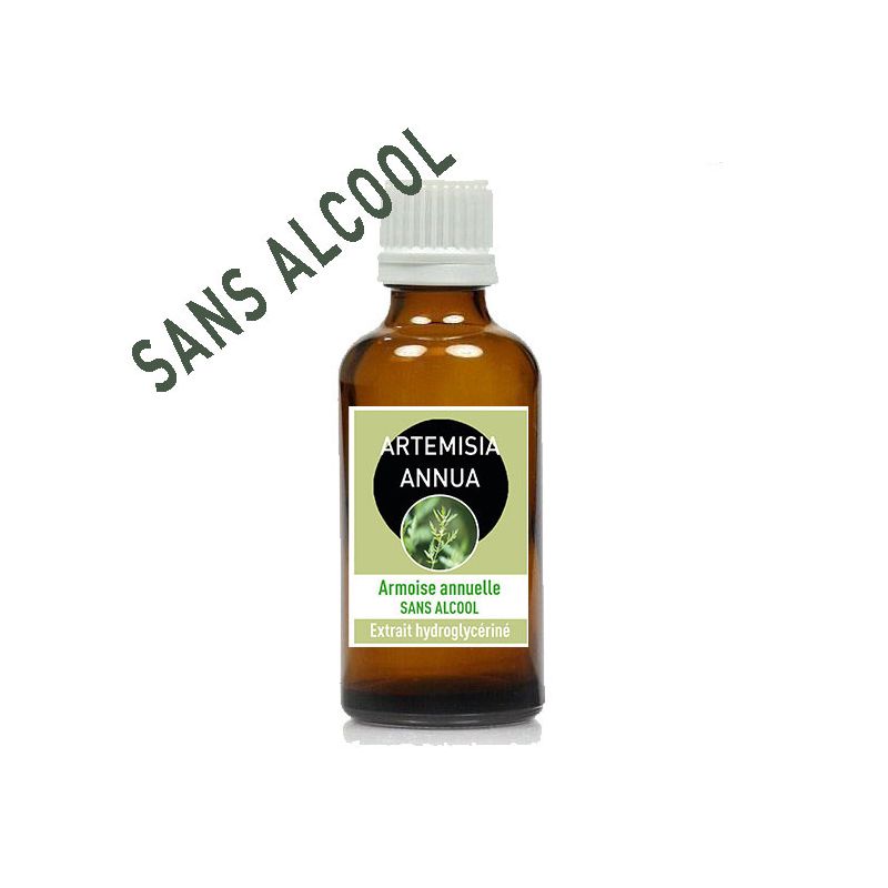 ARTEMISIA ANNUA 100ml - Macération SANS ALCOOL