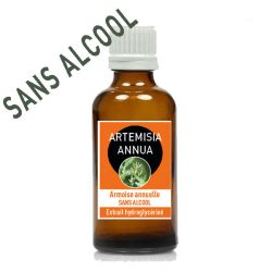 ARTEMISIA ANNUA 50ml - Macération SANS ALCOOL