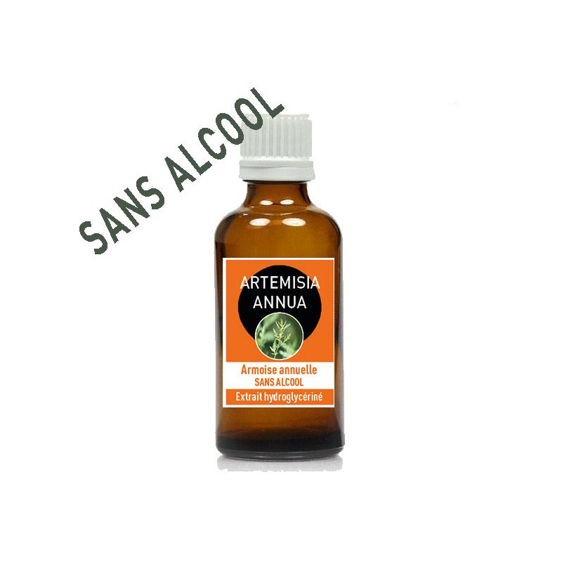 ARTEMISIA ANNUA 50ml - Macération SANS ALCOOL