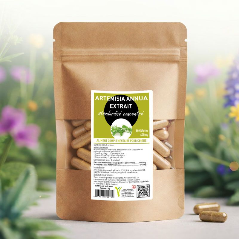 RTEMISIA ANNUA  Extrait concentré standardisé  - 60 gélules 400mg - Forte concentration